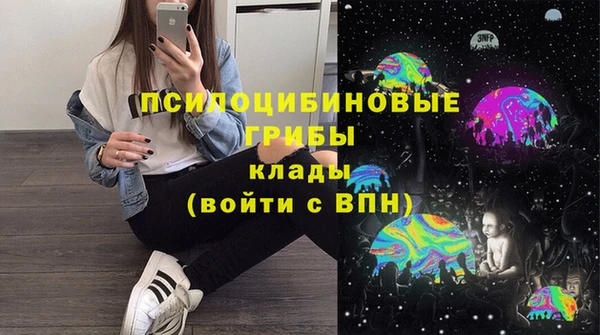 дживик Арсеньев