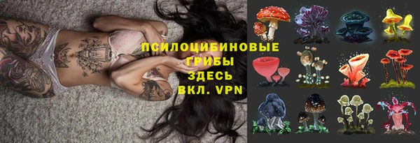 дживик Арсеньев