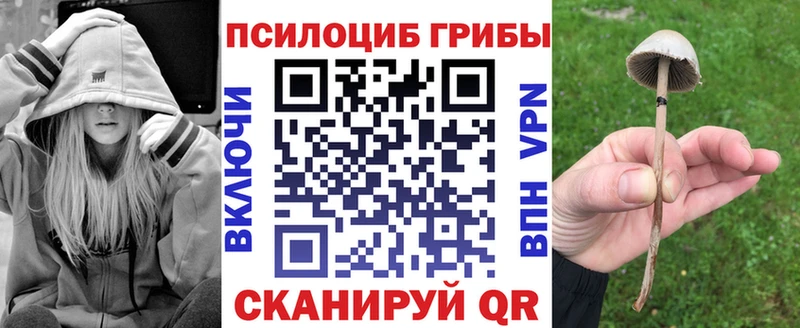 как найти закладки  Судак  ОМГ ОМГ вход  Галлюциногенные грибы MAGIC MUSHROOMS 